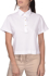 Picture of SPREAD COLLAR JERSEY POLO